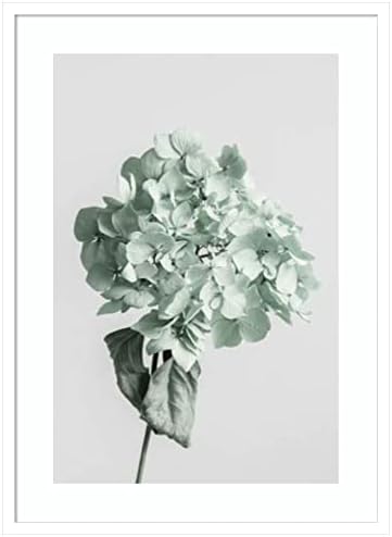 Amanti Art Framed Wall Print 33x24 Green Dried Flower
