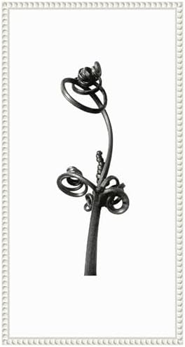 Amanti Art Framed Canvas Wall Art 27x14 Blossfeldt Botanical No 4
