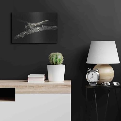 Dragonfly Metal Wall Art by Avery Multer 24x16