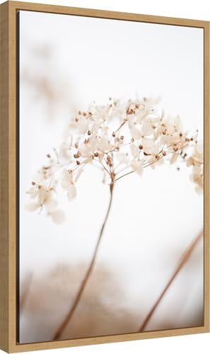 Amanti Art Framed Canvas 23x16 Soft Dried Flower Brown
