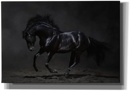 Epic Graffiti Onyx Canvas Wall Art 26x18