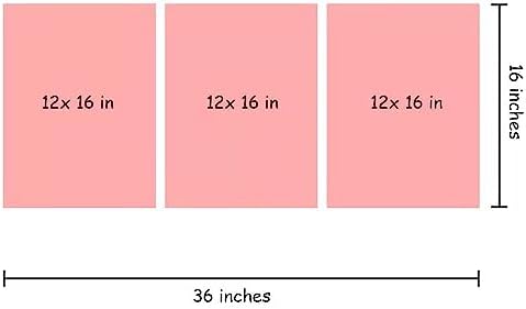 LSIUHWUWI 3 Panels Canvas Print Art Set