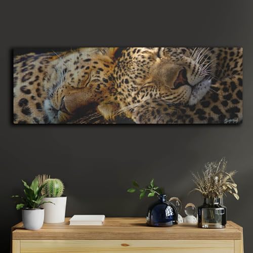 Two Sleepers Cheetahs Metal Wall Art by Murray Henderson