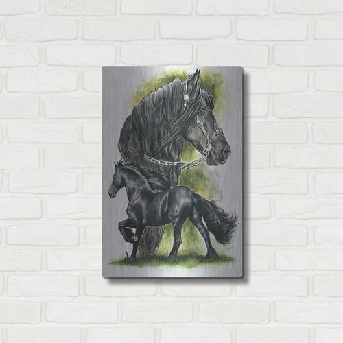 Fresian by Barbara Keith 16x24 Metal Wall Art