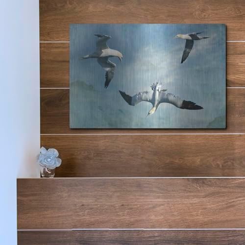 Gannets Trio Metal Wall Art by Carlos Casamayor