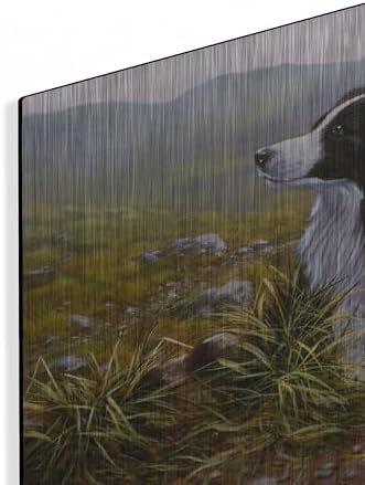 Thoughtful Border Collie Metal Wall Art 24x16