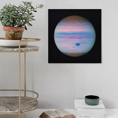 James Webb Space Telescope Poster Canvas Art Wall Decor 20x20inch