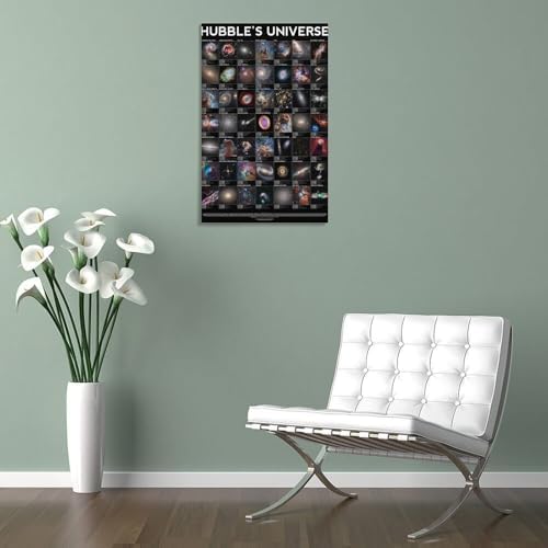 Hubbles Universe Poster Canvas Wall Art 16x24inch