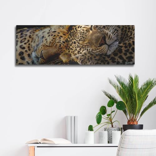Two Sleepers Cheetahs Metal Wall Art by Murray Henderson