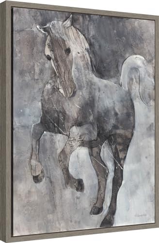Amanti Art Framed Canvas Wall Art Wind Dancer 24x18