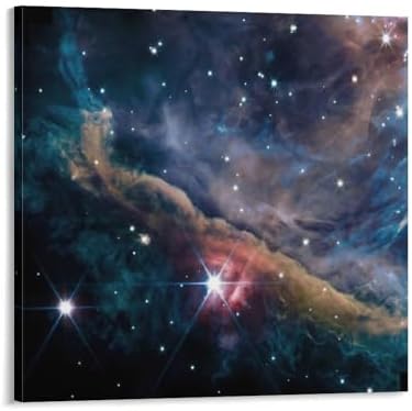 James Webb Space Telescope Canvas Poster 20x20inch Wall Art 1