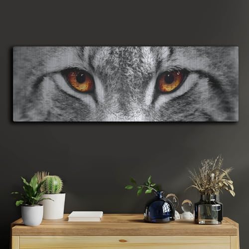 Lynx 2 Metal Wall Art by Photoinc Studio 36x12