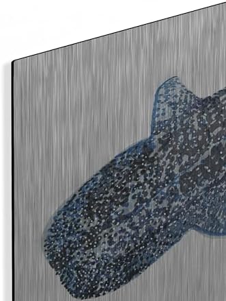 Shark Whale 2 Metal Wall Art 24x16