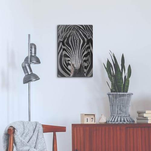 Zebra Stare Metal Wall Art 16x24