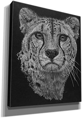 Epic Graffiti Imperial Canvas Wall Art 20x24