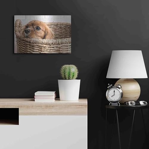 Puppy in a Laundry Basket Metal Wall Art 24x16