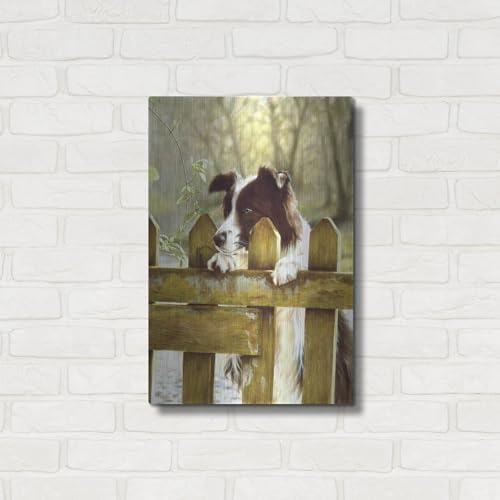 Border Collie Watching Cows Wall Art by John Silver