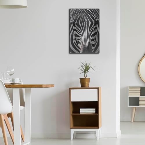 Zebra Stare Metal Wall Art 16x24