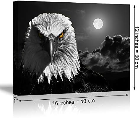 Cool Eagle Wall Art Decor for Bedroom