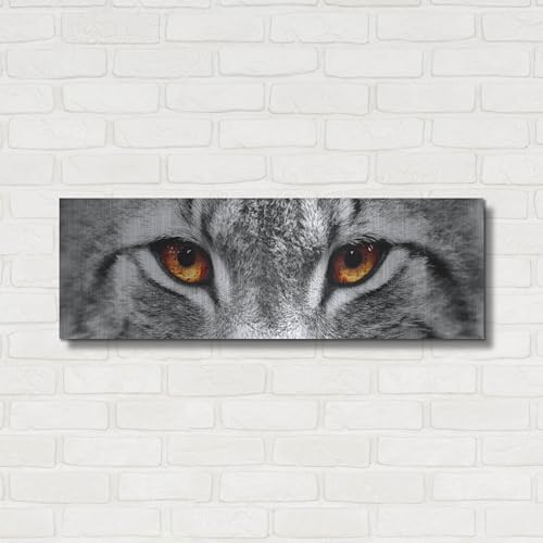 Lynx 2 Metal Wall Art by Photoinc Studio 36x12