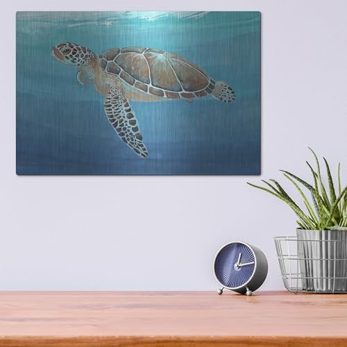Ocean Sea Turtle II Metal Wall Art 16x12