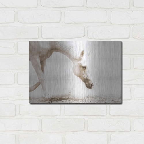Trail Horse Sepia Metal Wall Art 16x12