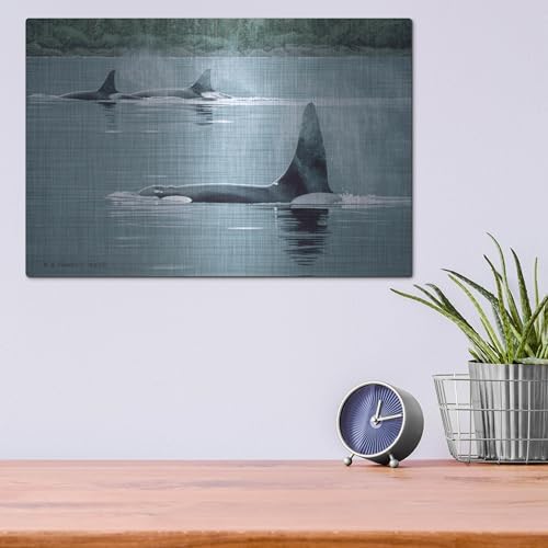 Orcas Metal Wall Art by Ron Parker 16x12