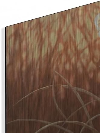 Pure Eyes Metal Wall Art 24x16