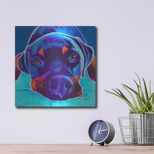 Rottie - Dexter 2 Metal Wall Art 12x12