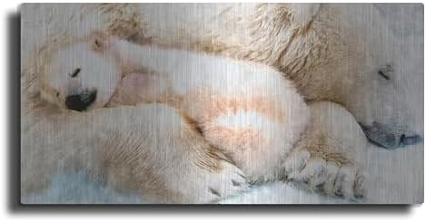 Sleepy Polar Metal Wall Art 24x12