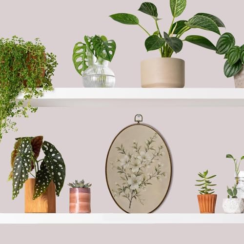 JQF Vintage Floral Oval Wall Decor Framed Print