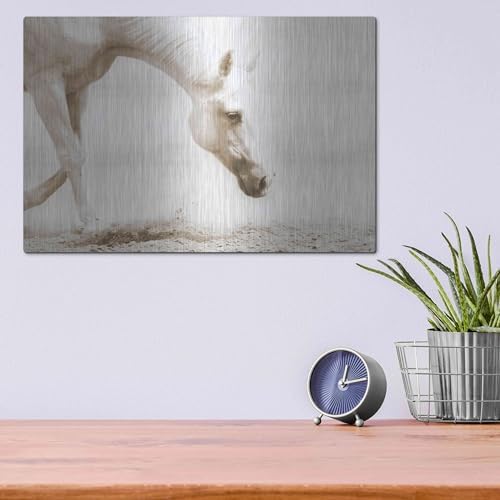 Trail Horse Sepia Metal Wall Art 16x12
