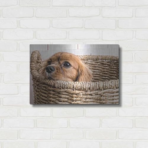 Puppy in a Laundry Basket Metal Wall Art 24x16