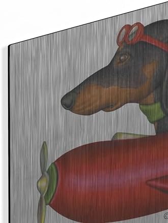 Black Dachshund in Red Plane Metal Wall Art 24x16