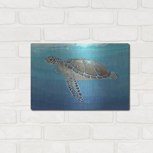 Ocean Sea Turtle II Metal Wall Art 16x12