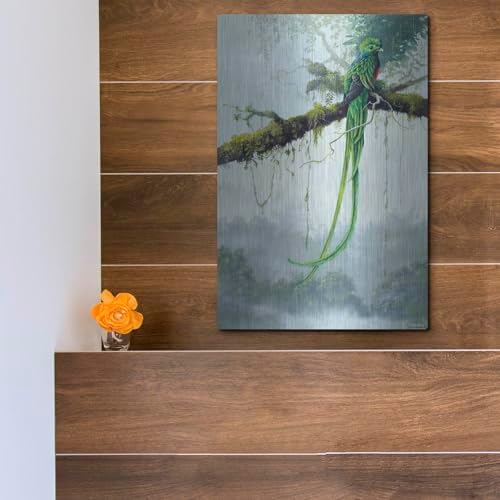 Resplendent Quetzal Metal Wall Art 12x16