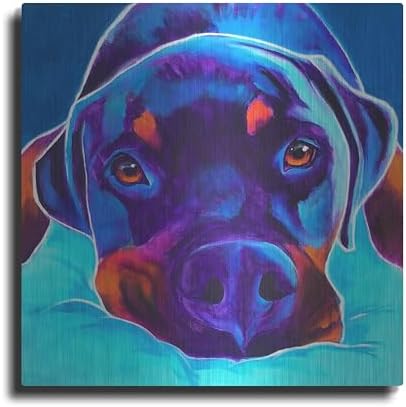 Rottie - Dexter 2 Metal Wall Art 12x12