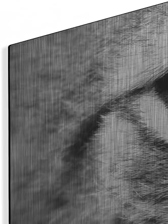 Lynx 2 Metal Wall Art by Photoinc Studio 36x12