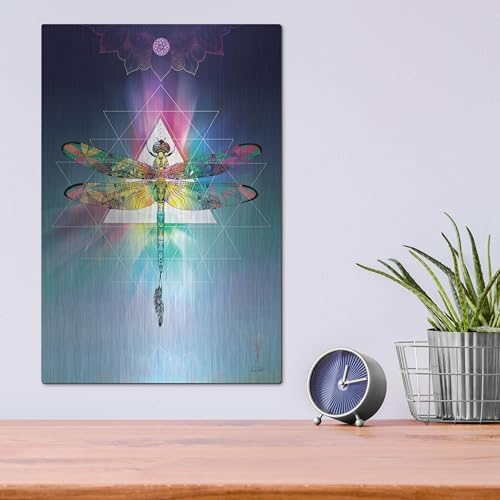 Cosmic Dragonfly Metal Wall Art 12x16