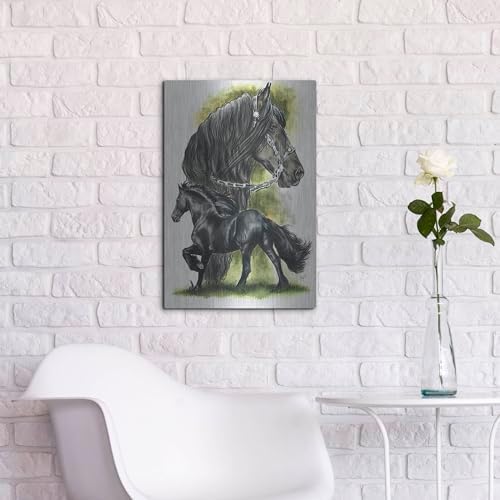 Fresian by Barbara Keith 16x24 Metal Wall Art