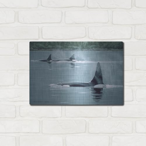 Orcas Metal Wall Art by Ron Parker 16x12