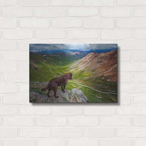 A Dog On An Adventure Metal Wall Art 24x16