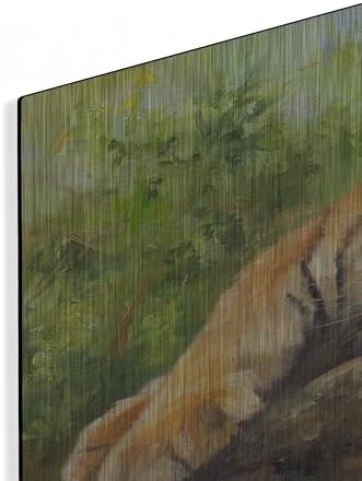 Tiger Cub Rock2 by David Stribbling Metal Wall Art 24x16