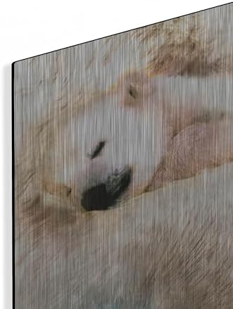 Sleepy Polar Metal Wall Art 24x12