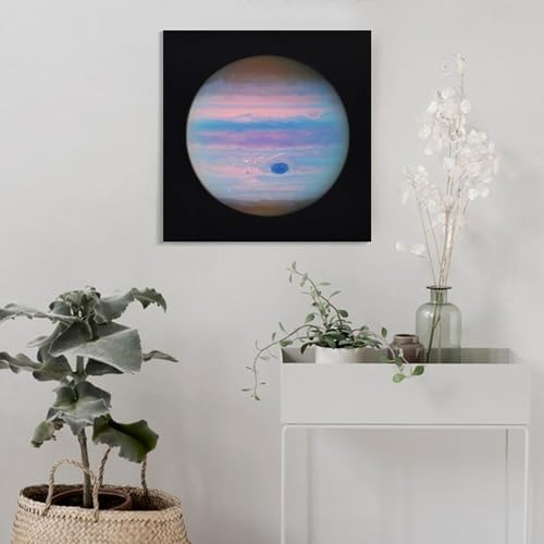 James Webb Space Telescope Poster Canvas Art Wall Decor 20x20inch