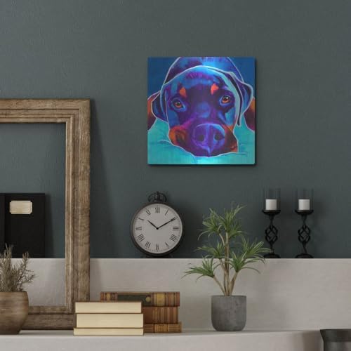 Rottie - Dexter 2 Metal Wall Art 12x12