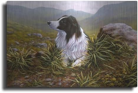 Thoughtful Border Collie Metal Wall Art 24x16