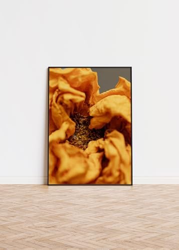 Dried Orange Flower Wall Art Poster Print