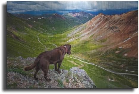 A Dog On An Adventure Metal Wall Art 24x16