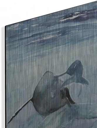Dolphin and Calf Metal Wall Art 12x16